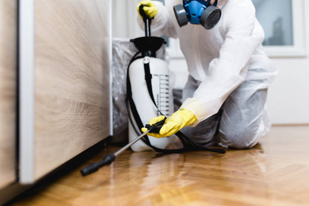 Reliable Clementon, NJ Pest Control Solutions