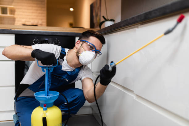 Best Flea Control Services  in Clementon, NJ