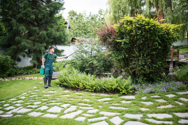 Best Emergency Pest Control  in Clementon, NJ
