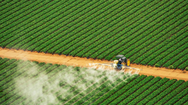 Best Pest Control for Businesses  in Clementon, NJ