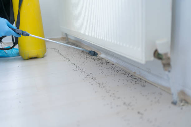 Best Pest Control Near Me  in Clementon, NJ
